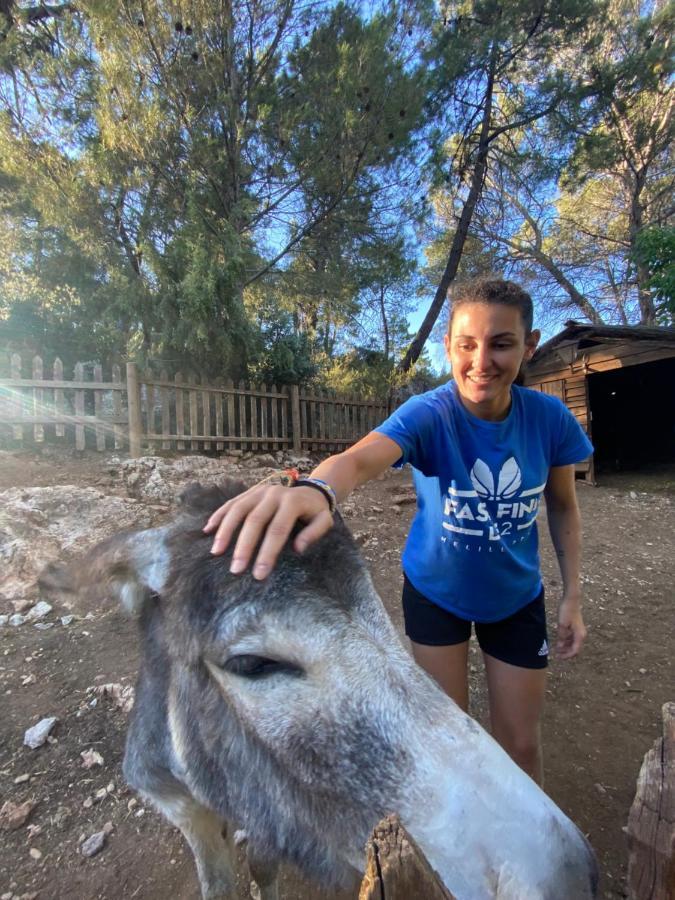 Alojamiento Rural Las Maravillas Cañada Catena Dış mekan fotoğraf