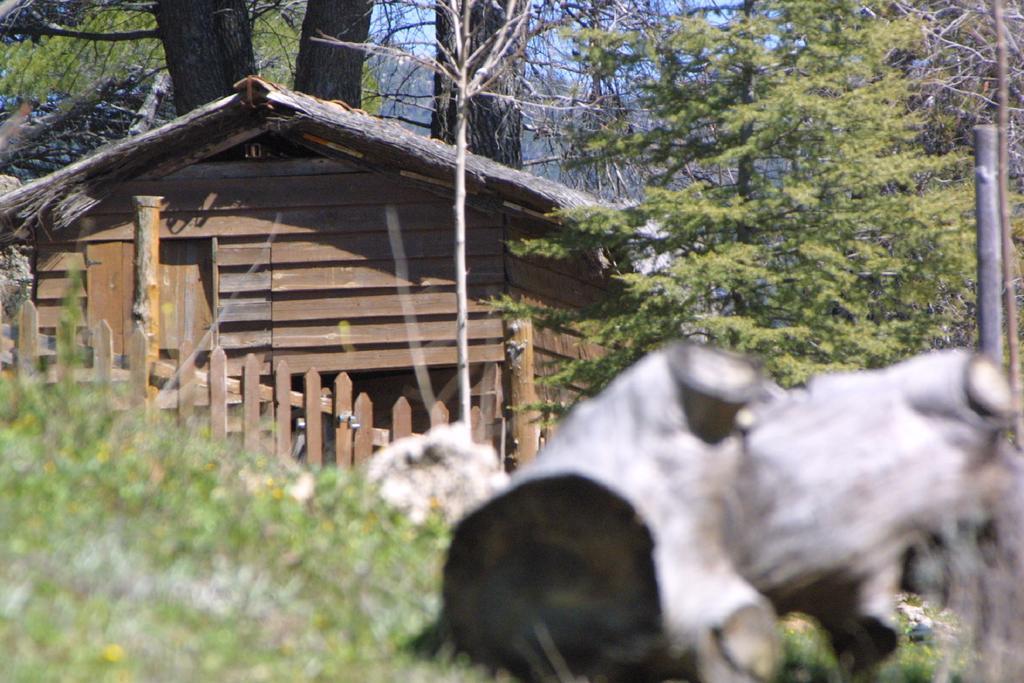 Alojamiento Rural Las Maravillas Cañada Catena Dış mekan fotoğraf